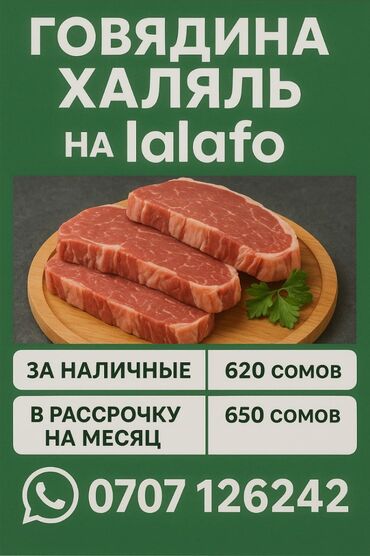 котлеты для бургеров: Говядина : До 1 кг, Стейк