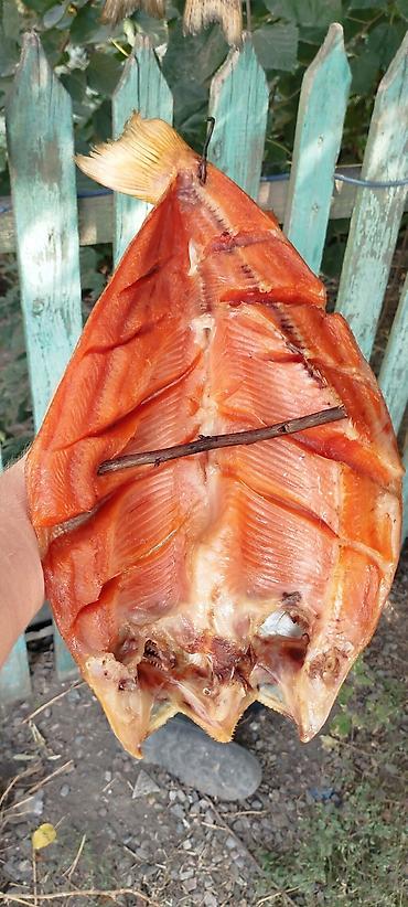 Другая рыбная продукция: Продаю холодного и горячего копчения Форель, домашнего приготовления — 11