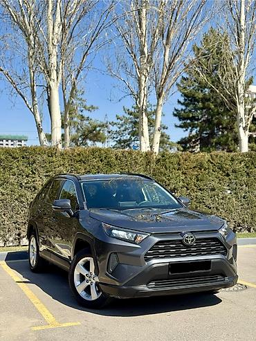 jps treker: Toyota RAV4: 2019 г., 2.5 л, Автомат, Бензин, Кроссовер — 1
