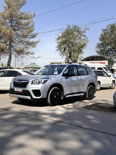 внедорожные шины: Subaru Forester: 2019 г., Вариатор, Кроссовер