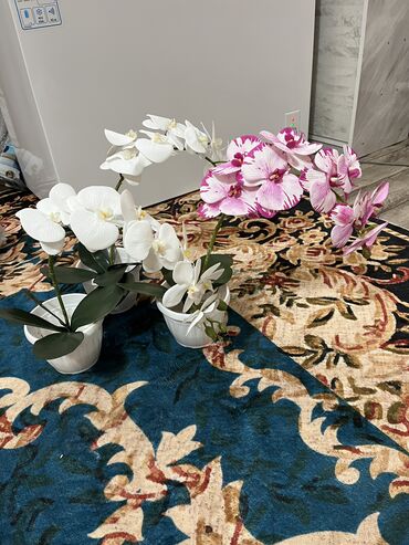 Декоративные цветы: Искусственные горшечные цветы - Яркие декоративные композиции в белых — 20