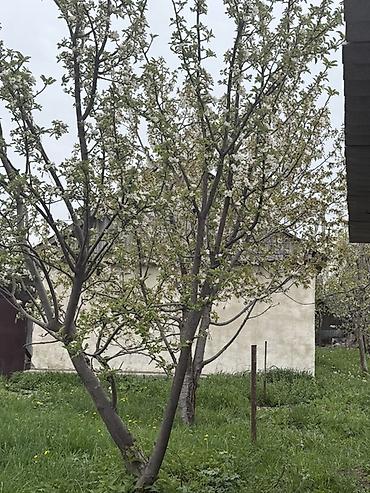 Продажа участков: 8 соток, Для бизнеса — 6