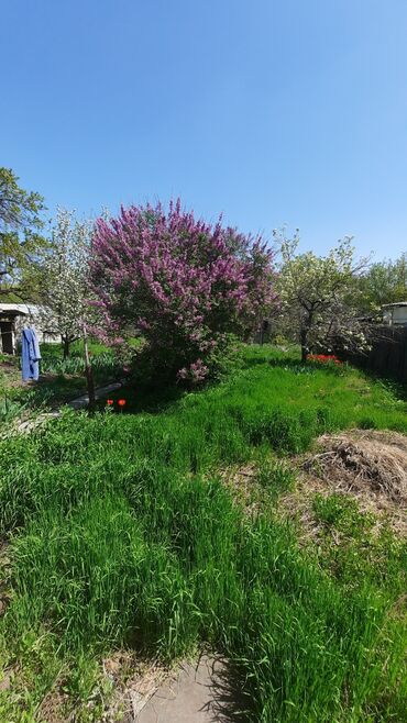 Продажа домов: Дом, 65 м², 4 комнаты, Агентство недвижимости, Старый ремонт — 3