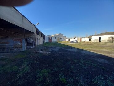 Kommersiya daşınmaz əmlakının satışı: TƏCİLİİİİ!!!Kupça (çıxarış) var Bütün tikililər 40 sotun içindədir — 12