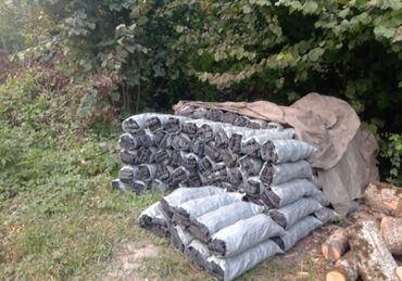 Kömür: Gec sonen yuksek kefiyyetli komur 5.5m dan 7.5man kimi cox alana — 13