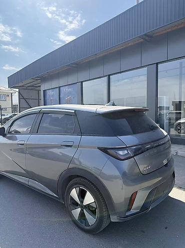 электро машины мини: BYD Dolphin: 2023 г., 0.1 л, Автомат, Электромобиль, Хэтчбэк — 2