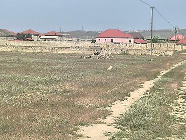 şirket: 24 sot, Tikinti, Mülkiyyətçi, Bələdiyyə — 3