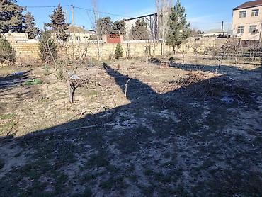 goredil: 15 sot, Tikinti, Maklerlər narahat etməsin, Kupça (Çıxarış) — 4