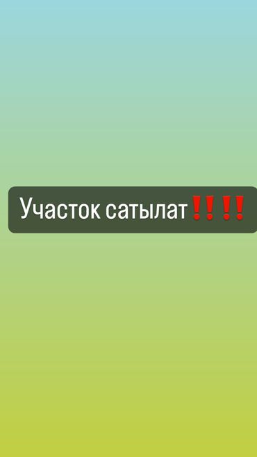 хаски продажа: 4 соток, Курулуш, Кызыл китеп