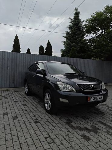 Lexus: Lexus RX: 2003 г., 3.3 л, Автомат, Бензин, Кроссовер