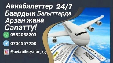 авиабилеты kg: Баардык багыттарга ыңгайлуу баадагы авиабилеттер! Онлайн сатып алуу