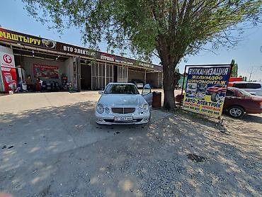 mersedes e class: Mercedes-Benz E-Class: 2003 г., 5 л, Автомат, Бензин, Седан — 4