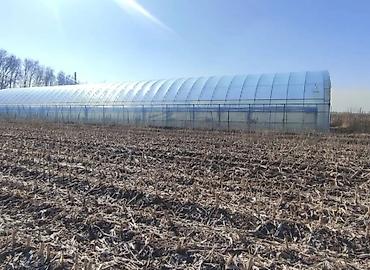 Теплицы: Продается теплица. Действующий тепличный комплекс земельным участком 3 — 11