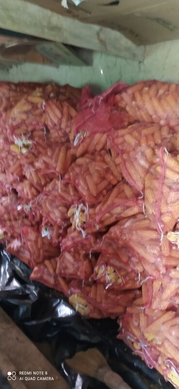 Корма для с/х животных: Кукуруза мешках 8 тонна сорт Стекляшка оптом торг есть!