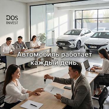 бишкее: Инвестиция в бизнес — 4