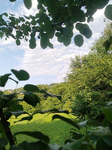 Torpaq sahələrinin satışı: 92 sot, Biznes üçün, Mülkiyyətçi, Kupça (Çıxarış), Bələdiyyə, Müqavilə — 25