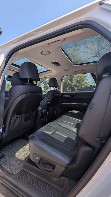 чехол чанган: Hyundai Palisade: 2020 г., 2.2 л, Робот, Дизель, Кроссовер — 9