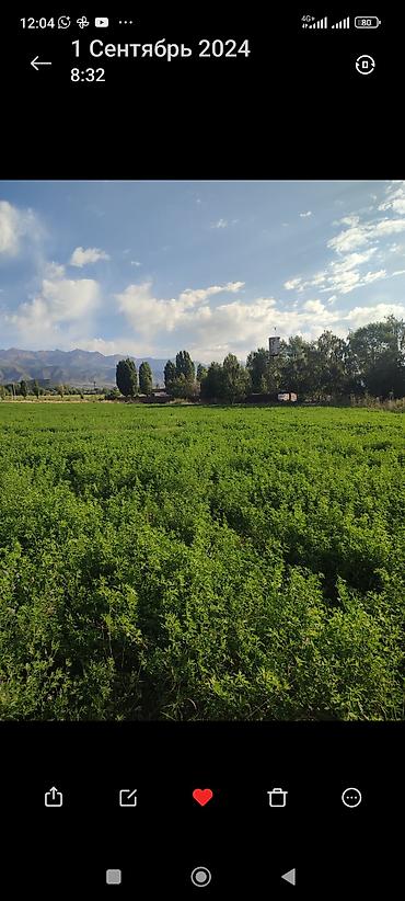 Продажа участков: 13 соток, Для бизнеса — 6