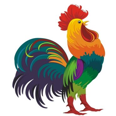 купить домашних курей: Продаю 4 петуха . 6 месяцев. На половину Брама