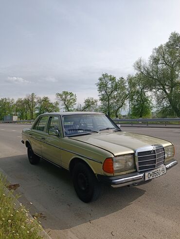 мерседес коротыш: Mercedes-Benz W123: 1983 г., 2.3 л, Механика, Дизель, Седан