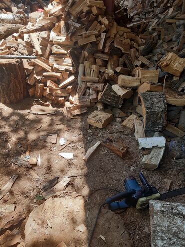 сухой карагач: Продаю дрова сухие карагач на зиму для шашлыков для печки для тандыра