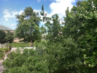 Həyət evləri və villaların satışı: 6 otaqlı, 400 kv. m, Orta təmir — 6