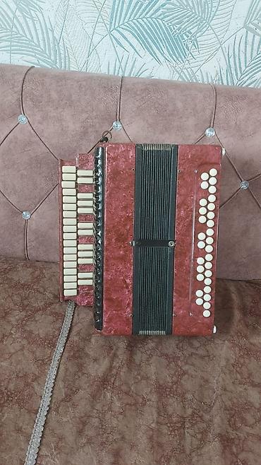 instrumentlər: Qarmon, Akustik, Yeni, Ünvandan götürmə — 1