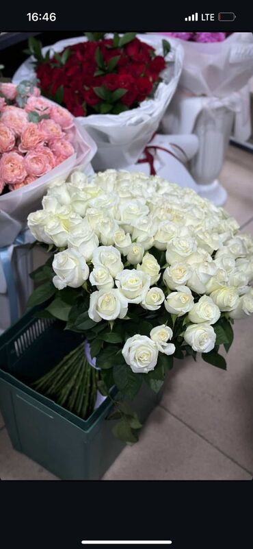 новый спортивный костюм: 6000 новые