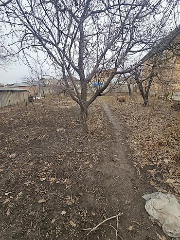 Sale of cottages and houses: Продаётся участок по первой линии Лебединовка напротив магазина Шекер — 3