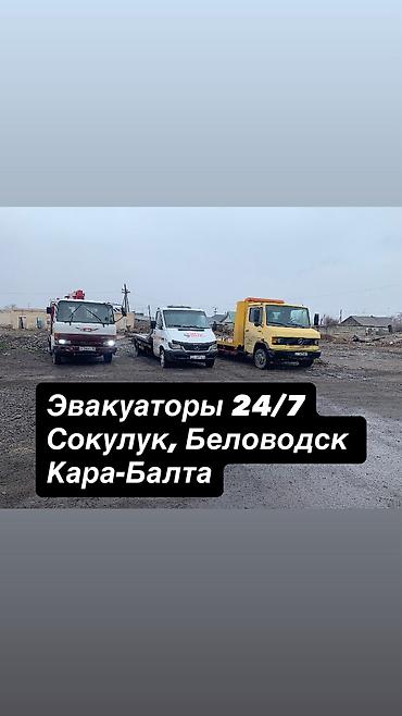 кой бишкек: Көтөргүсү менен — 1