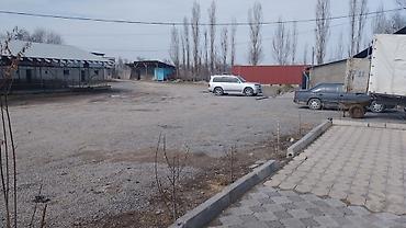 оборудование для магазин: Сдаю базу со складскими помещениями для продажи автозапчастей для — 3