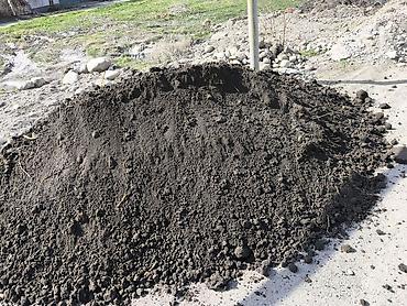 Грунт, чернозем: Чернозём плодородный для огорода, газона и ландшафта. Характеристики — 11