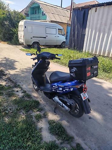 e53 amg: Honda, 50 куб. см, Бензин, Б/у — 3