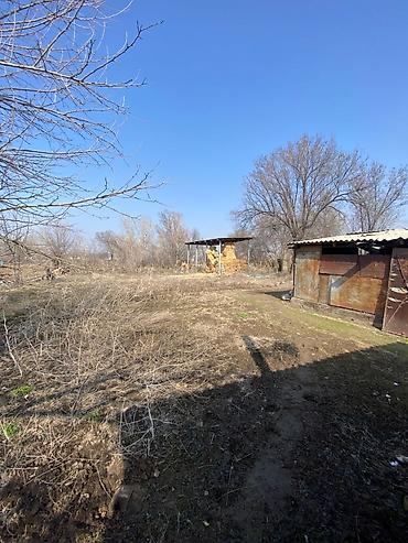 продаю учосток: Адрес село камышановка сокулукский район Продаётся участок с жилым — 4