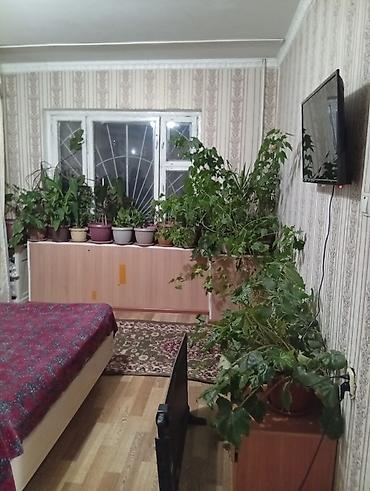 квартира аренда на час: Сдаются посуточно 1комнатные квартиры в г Каракол, в мн Восход, чисто — 4