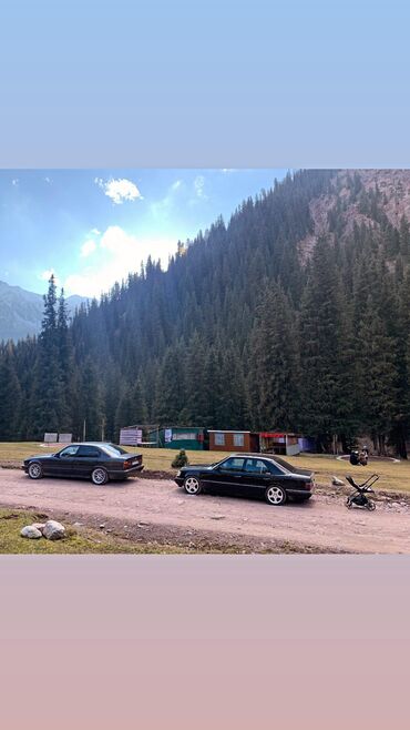 Mercedes-Benz: Mercedes-Benz W124: 1994 г., 2.8 л, Механика, Бензин, Седан — 4