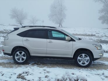 Lexus: Lexus RX: 2005 г., 3.3 л, Кроссовер — 15