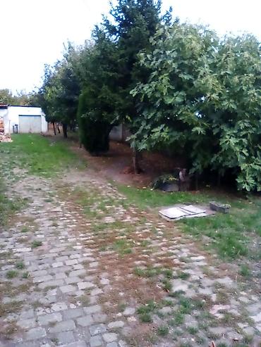 Kuće na prodaju: Poslovni prostor sa dvorištem i stambenim prostorom i bašton - — 3