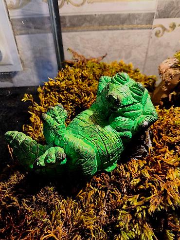 Зоотовары: 🌿 Украшения и декорации для аквариумов и террариумов 🌿 Продаю — 14