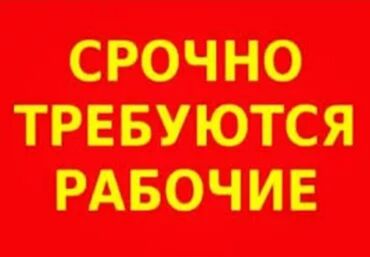ищу работу упаковщицу: Требуется Упаковщик, Оплата Почасовая, Без опыта