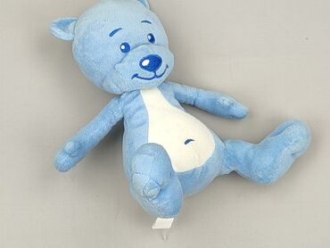 Mascot Teddy bear, condition - Perfect