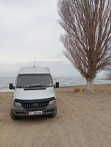 вел мастер: Mercedes-Benz Спринтер: 2004 г., 2.2 л, Механика, Дизель, Бус — 1