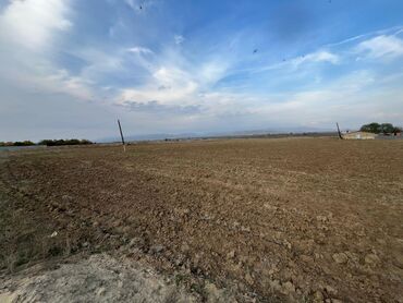 Torpaq sahələrinin satışı: Kənd təsərrüfatı — 7