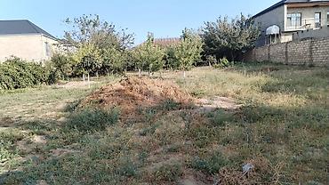 binə mehriban qonşular: 10 sot, Tikinti, Mülkiyyətçi, Kupça (Çıxarış) — 1