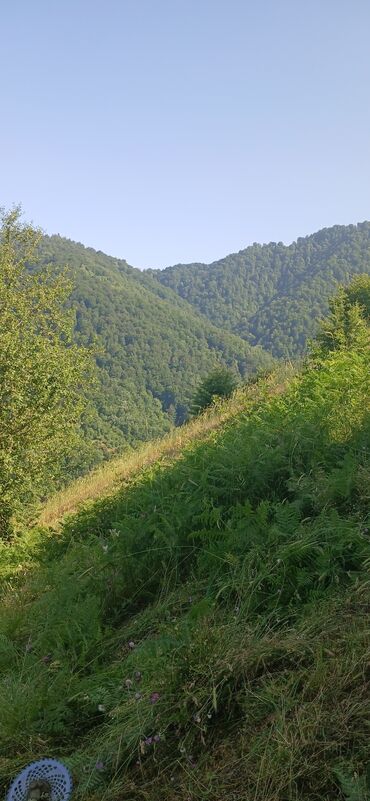 Digər qida məhsulları: ARI ÇÖRƏYİ ( GÜLƏM) Arı məhsulu Tərkibi: 1. Çiçək tozu əsasən; 2. arı — 7