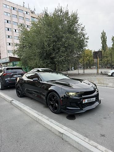 Chevrolet Camaro: 2020 г., 2 л, Автомат, Бензин, Купе