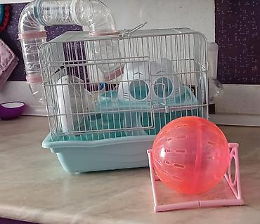 hamster kafesi: Дом хомяка всё в комплекте — 1