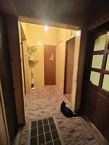 2 комнаты, 50 м², Дордой Плаза ТРЦ 105 серия, 4 этаж, Требуется ремонт — 4