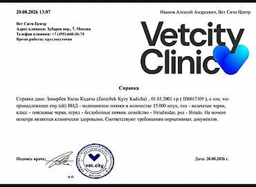 лизин: Медицинские пиявки (Hirudo), выращенные для гирудотерапии. Описание — 3