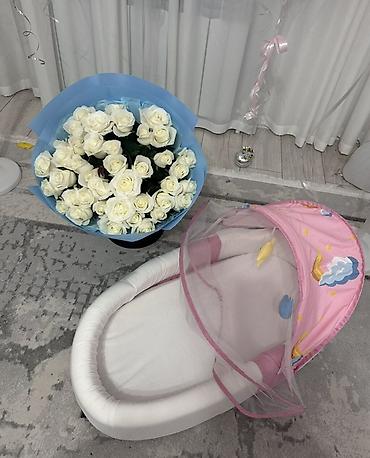 стол для офиса: Кокон-гнездо для новорождённого с москитной сеткой и дугой - Уютный — 2